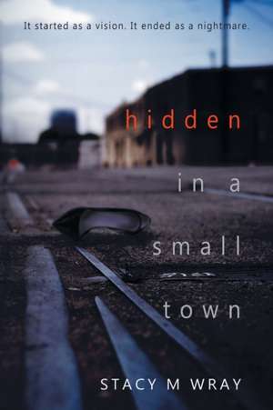 Hidden in a Small Town de Stacy M Wray