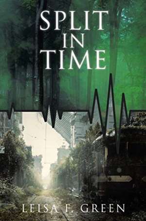 Split in Time de Leisa F. Green