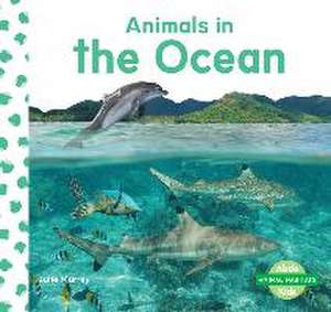ANIMALS IN THE OCEAN