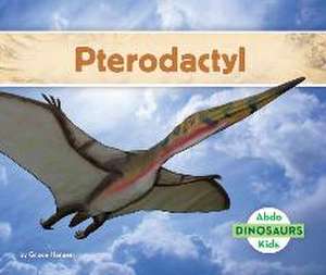 Pterodactyl de Grace Hansen