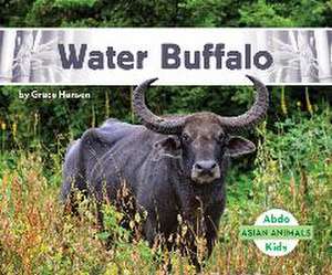 Hansen, G: Water Buffalo