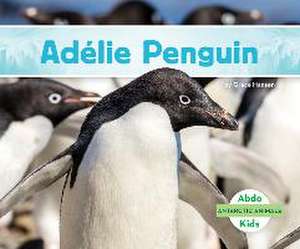 Adelie Penguin de Grace Hansen