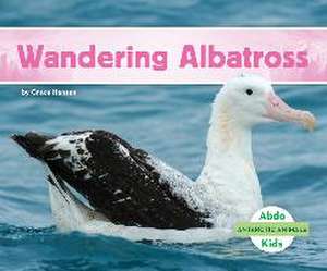 Wandering Albatross de Grace Hansen