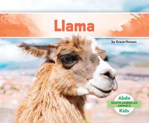 Llama de Grace Hansen