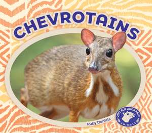 Chevrotains de Ruby Daniels