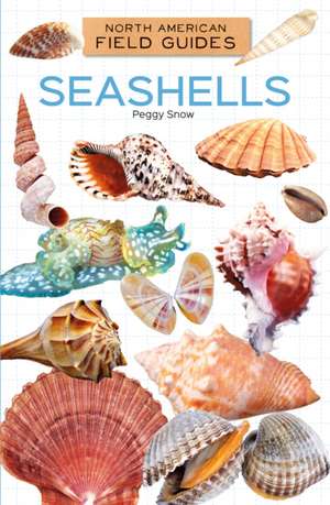 Seashells de Peggy Snow