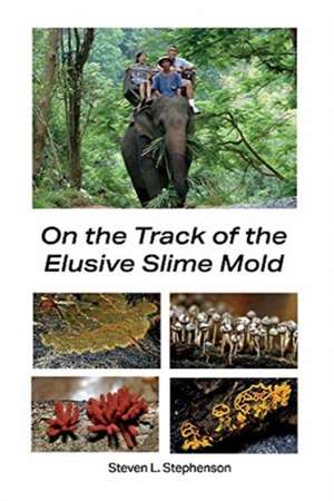 On the Track of the Elusive Slime Mold de Steve Stephenson