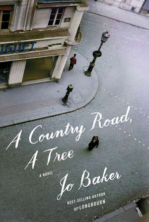 A Country Road, A Tree de Jo Baker