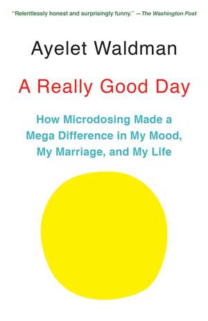 A Really Good Day de Ayelet Waldman