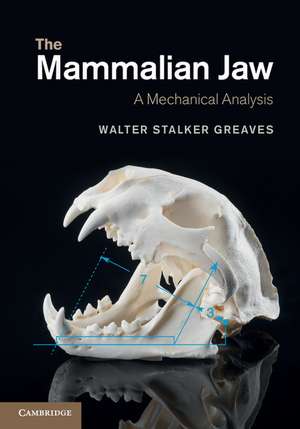 The Mammalian Jaw: A Mechanical Analysis de Walter Stalker Greaves