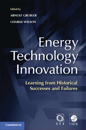 Energy Technology Innovation: Learning from Historical Successes and Failures de Arnulf Grubler