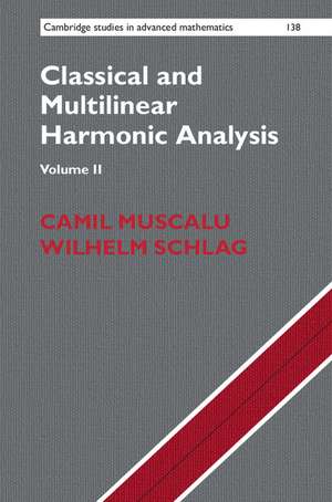 Classical and Multilinear Harmonic Analysis de Camil Muscalu