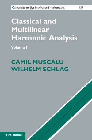 Classical and Multilinear Harmonic Analysis 2 Volume Set de Camil Muscalu