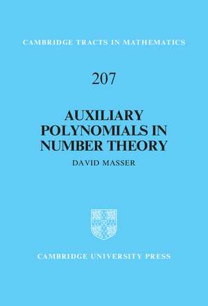 Auxiliary Polynomials in Number Theory de David Masser