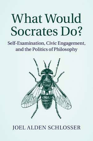 What Would Socrates Do?: Self-Examination, Civic Engagement, and the Politics of Philosophy de Joel Alden Schlosser