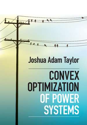 Convex Optimization of Power Systems de Joshua Adam Taylor