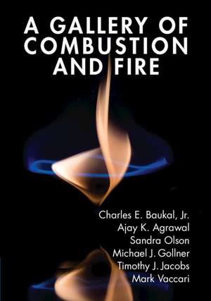 A Gallery of Combustion and Fire de Charles E. Baukal, Jr.