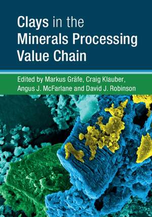 Clays in the Minerals Processing Value Chain de Markus Gräfe