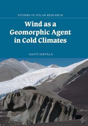 Wind as a Geomorphic Agent in Cold Climates de Matti Seppälä