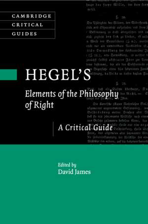 Hegel's Elements of the Philosophy of Right: A Critical Guide de David James