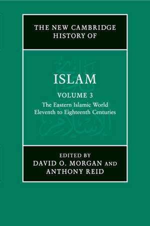 The New Cambridge History of Islam: Volume 3, The Eastern Islamic World, Eleventh to Eighteenth Centuries de David O. Morgan