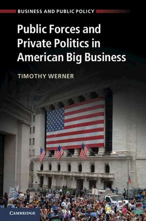 Public Forces and Private Politics in American Big Business de Timothy Werner