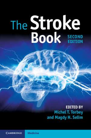 The Stroke Book de Michel T. Torbey