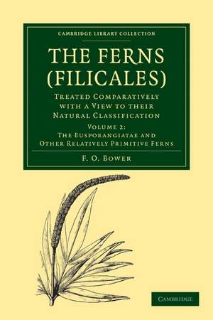 The Ferns (Filicales): Volume 2, The Eusporangiatae and Other Relatively Primitive Ferns: Treated Comparatively with a View to their Natural Classification de F. O. Bower