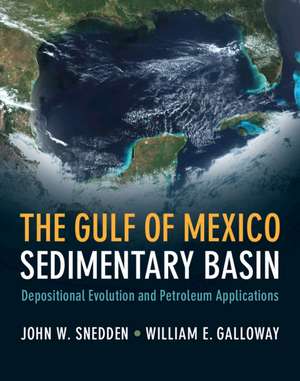 The Gulf of Mexico Sedimentary Basin: Depositional Evolution and Petroleum Applications de John W. Snedden