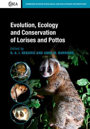 Evolution, Ecology and Conservation of Lorises and Pottos de K. A. I. Nekaris