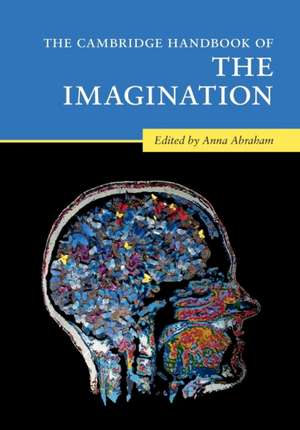 The Cambridge Handbook of the Imagination de Anna Abraham