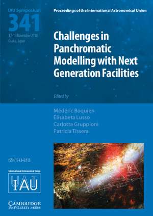 Challenges in Panchromatic Modelling with Next Generation Facilities (IAU S341) de Médéric Boquien