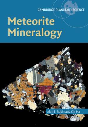 Meteorite Mineralogy de Alan Rubin