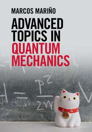 Advanced Topics in Quantum Mechanics de Marcos Mariño