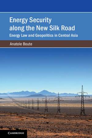 Energy Security along the New Silk Road: Energy Law and Geopolitics in Central Asia de Anatole Boute