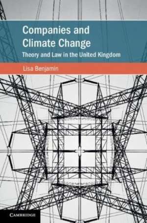 Companies and Climate Change de Lisa Benjamin