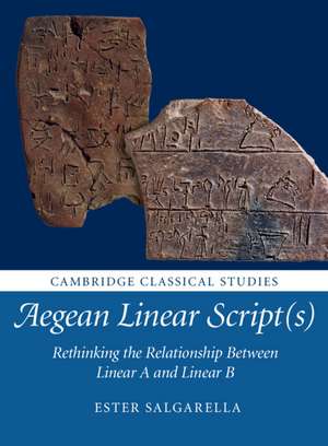 Aegean Linear Script(s): Rethinking the Relationship Between Linear A and Linear B de Ester Salgarella