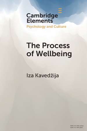 The Process of Wellbeing: Conviviality, Care, Creativity de Iza Kavedžija