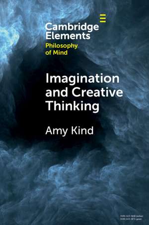 Imagination and Creative Thinking de Amy Kind