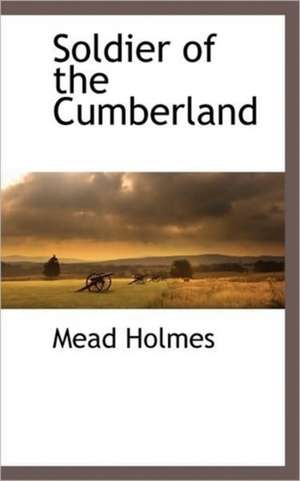 Soldier of the Cumberland de Mead Holmes