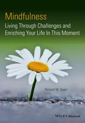 Mindfulness de Richard W Sears