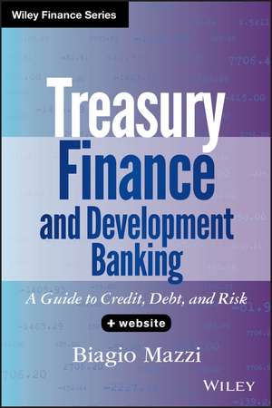 Treasury Finance and Development Banking + Website – A Guide to Credit, Debt, and Risk de B Mazzi