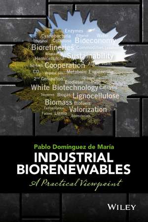 Industrial Biorenewables: A Practical Viewpoint de Domínguez de Ma