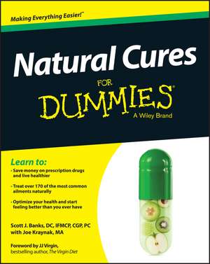 Natural Cures For Dummies de SJ Banks