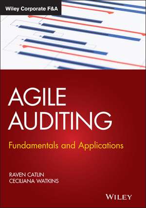 Agile Auditing – Fundamentals and Applications de R Catlin