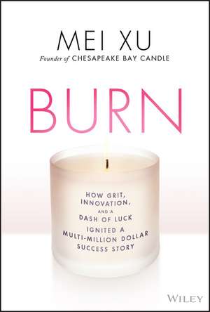 Burn: How Grit, Innovation, and a Dash of Luck Ignited a Multi–Million Dollar Success Story de Mei Xu