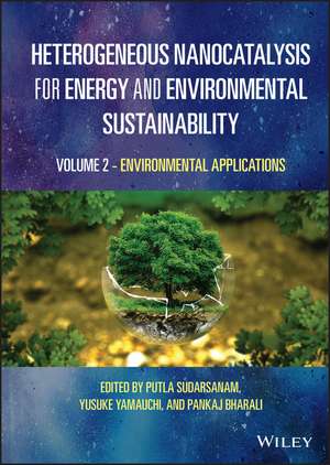 Heterogeneous Nanocatalysis for Energy and Environmental Sustainability – Volume 2 – Environmental Applications de P Sudarsanam