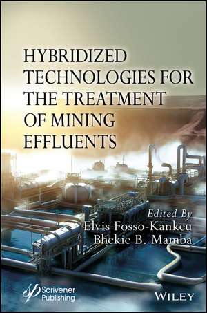 Hybridized Technologies for the Treatment of Mining Effluents de Fosso–Kankeu