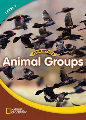 World Windows Intl 3 Animal Groups Sb de Ybm