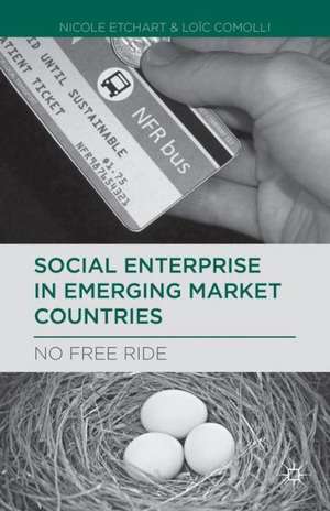 Social Enterprise in Emerging Market Countries: No Free Ride de N. Etchart